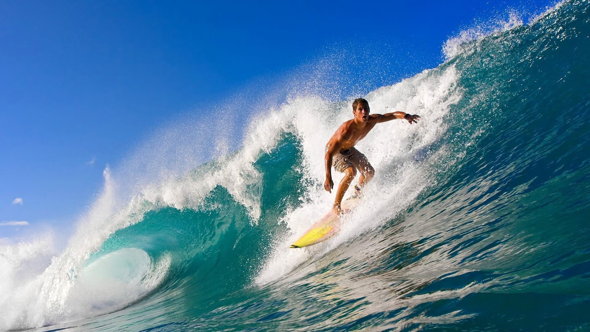 世界排名争夺战之夜,伊布,攻防转换的艺术核心